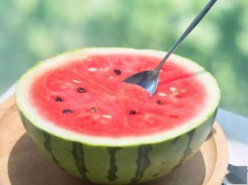 免费吃瓜官网免费,畅享美食盛宴，尽享免费福利！